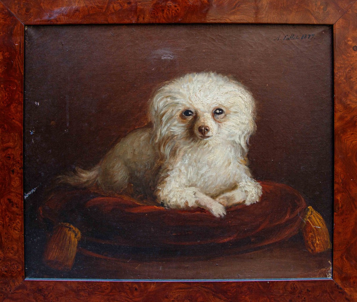 A. Fallol (france, Second Half Of The 19th Century), Poodle