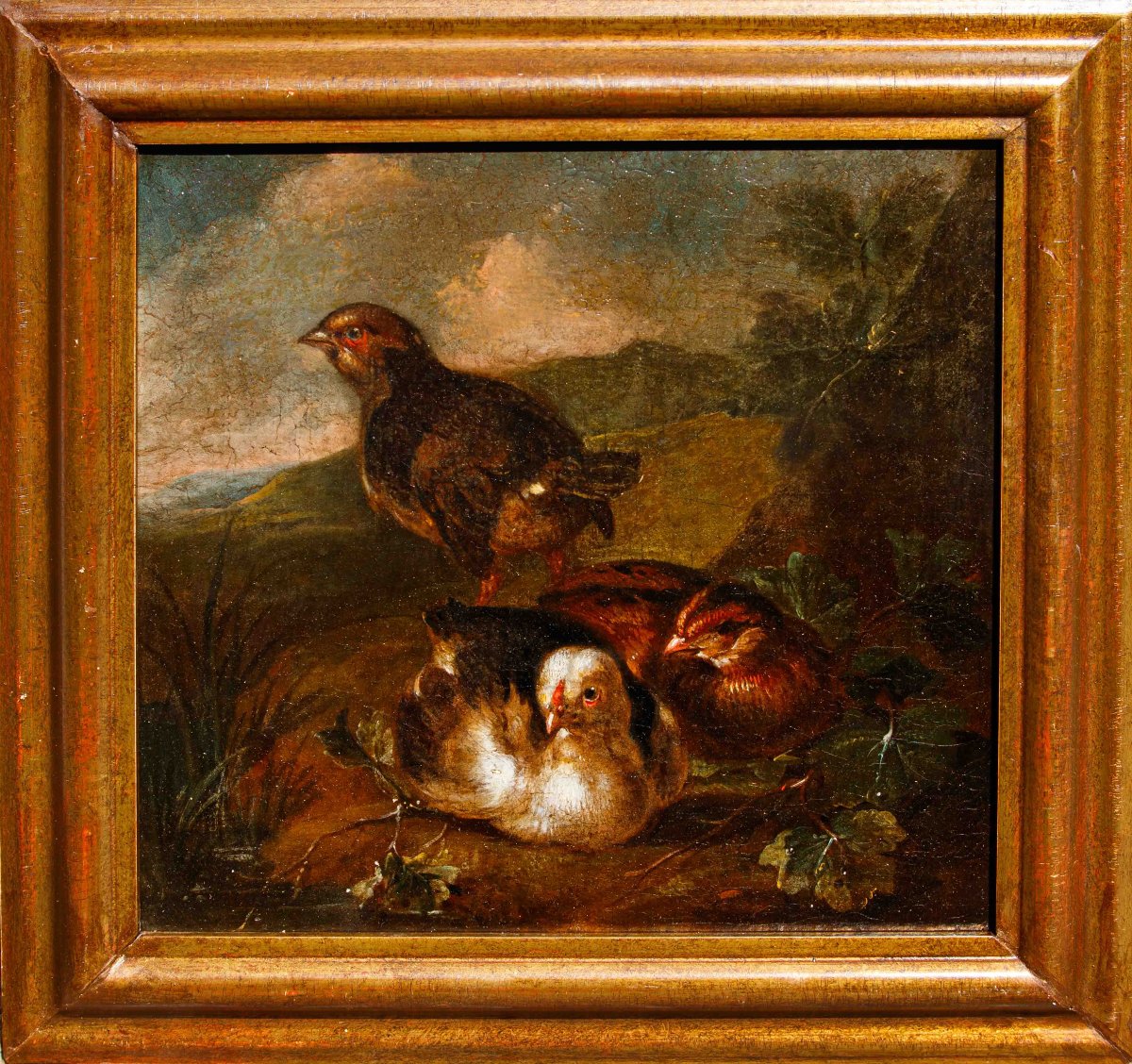 Emilian School, 18th Century, Couple Of Living Natures With Birds-photo-2