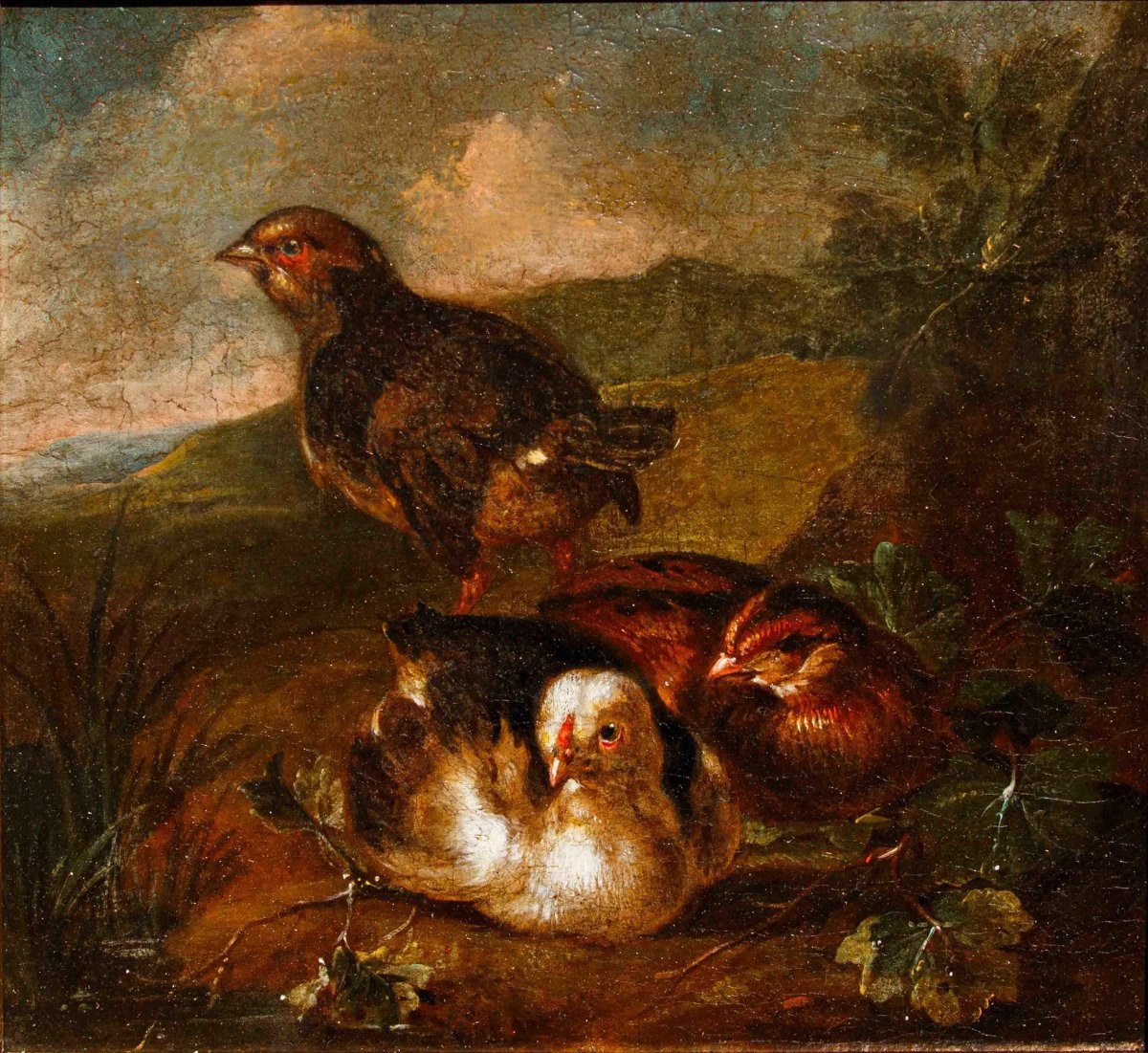 Emilian School, 18th Century, Couple Of Living Natures With Birds-photo-3