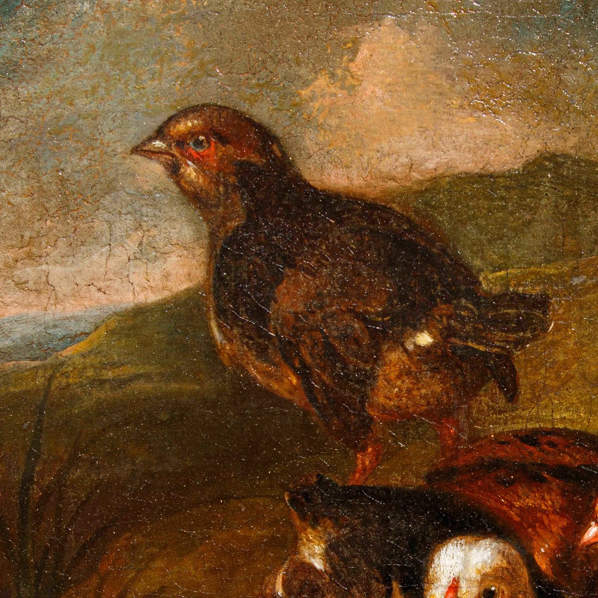Emilian School, 18th Century, Couple Of Living Natures With Birds-photo-4