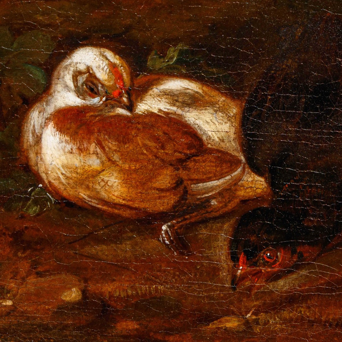 Emilian School, 18th Century, Couple Of Living Natures With Birds-photo-5