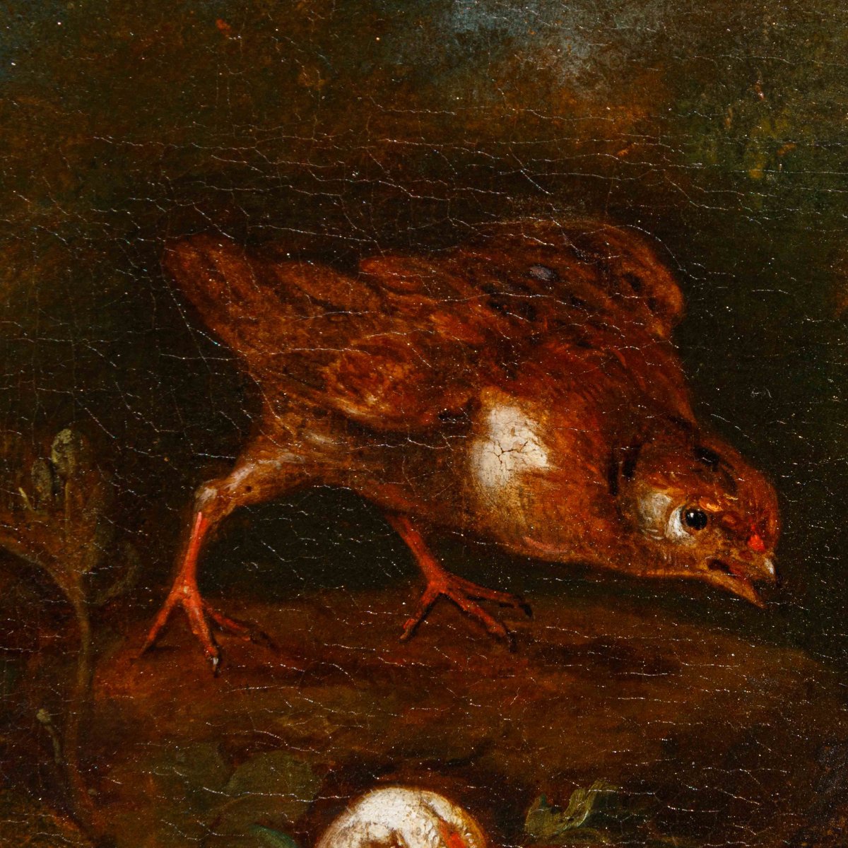 Emilian School, 18th Century, Couple Of Living Natures With Birds-photo-6