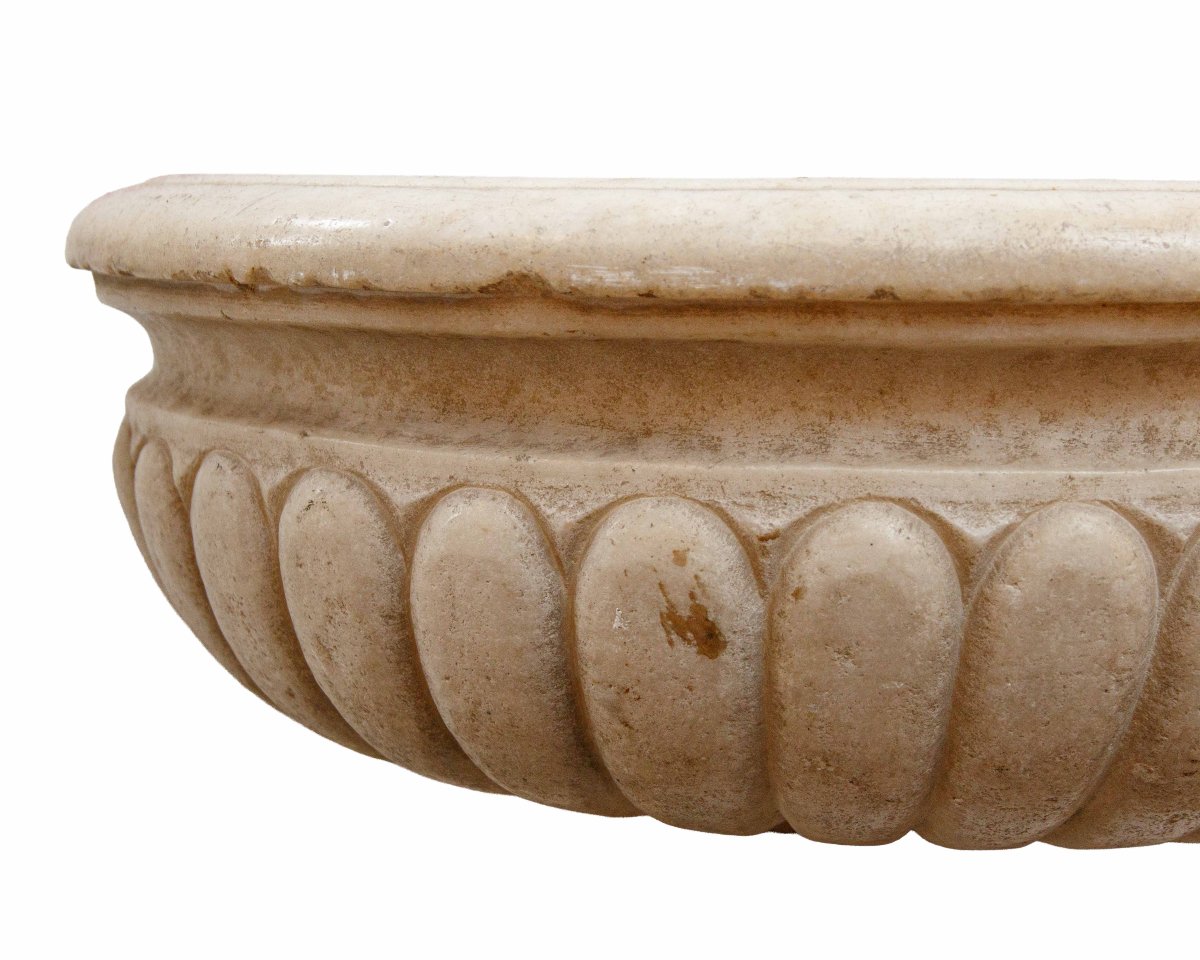 17th Century, Bacile-photo-3