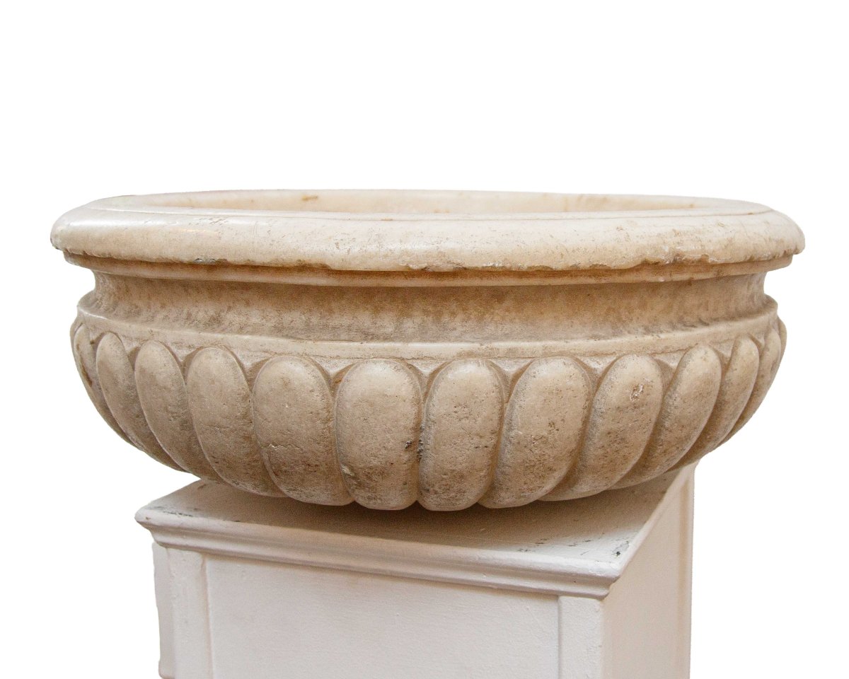 17th Century, Bacile-photo-4