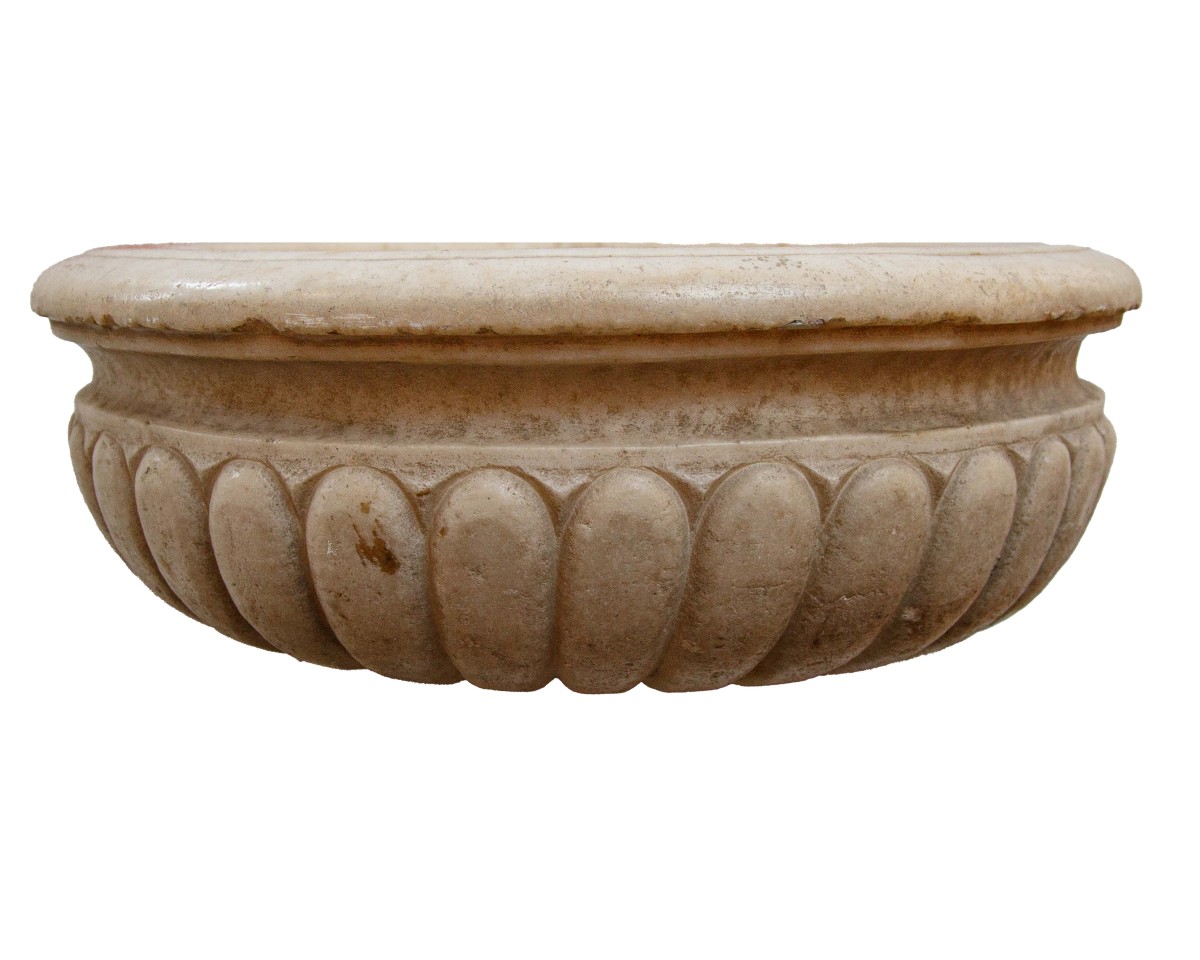 17th Century, Bacile