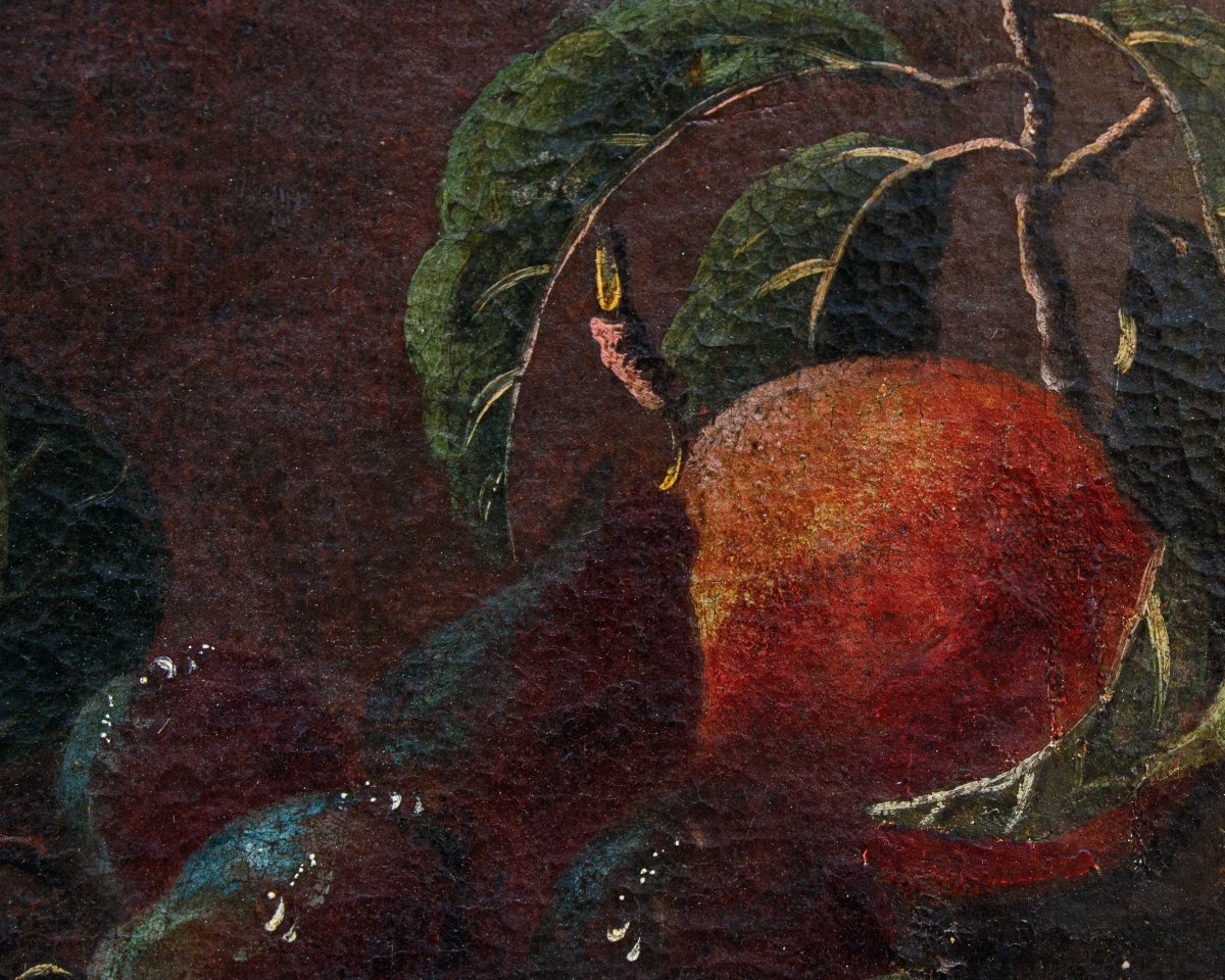 Roman School, 17th Century, Still Life With Pomegranates-photo-6