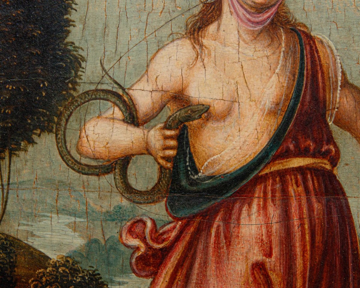 Tuscan School, Late 15th–early 16th Century, Cleopatra And The Aspis-photo-6