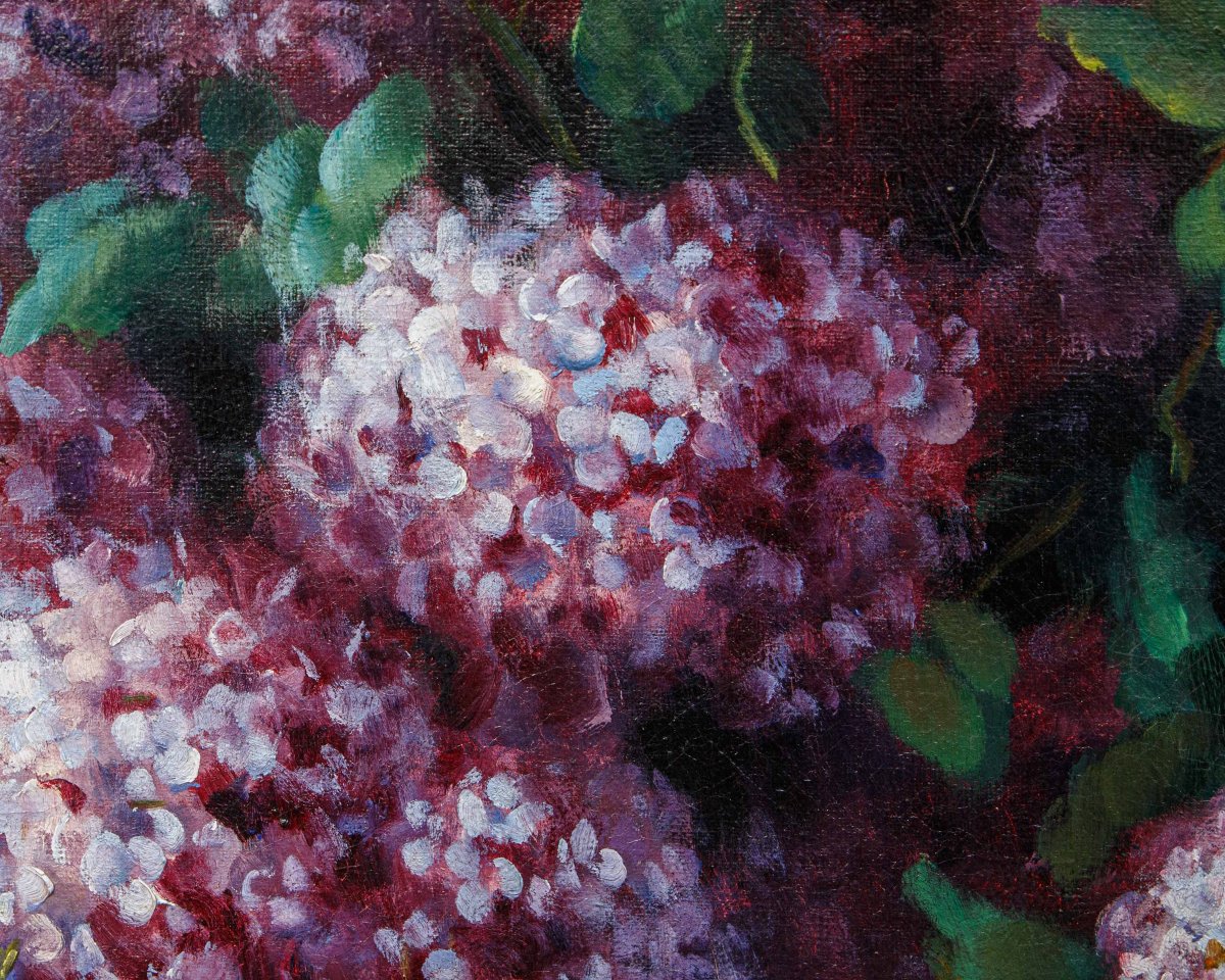Alfio Paolo Graziani (roncoferraro (mn), 1900 – Gavirate (va), 1981), Vase Of Hydrangeas-photo-1