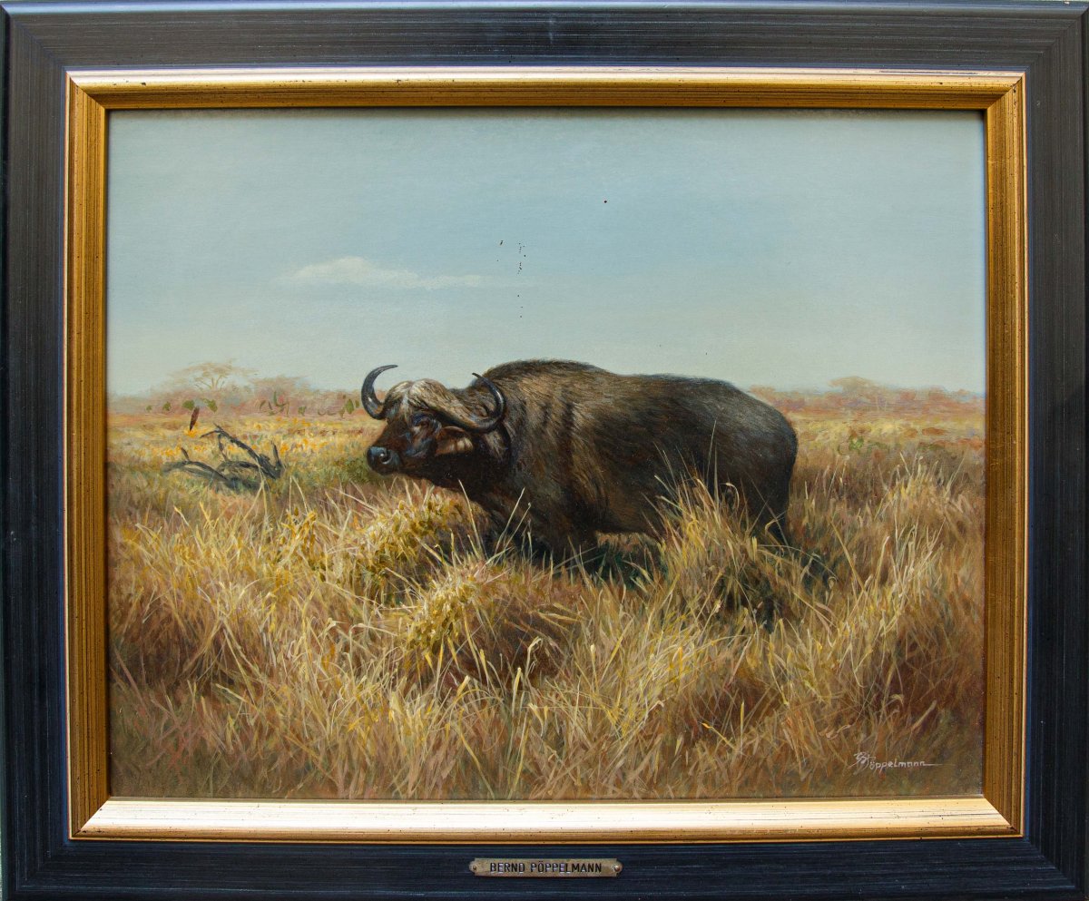 Bernd Pöppelmann (Rheine (DE), 1946), Le buffle