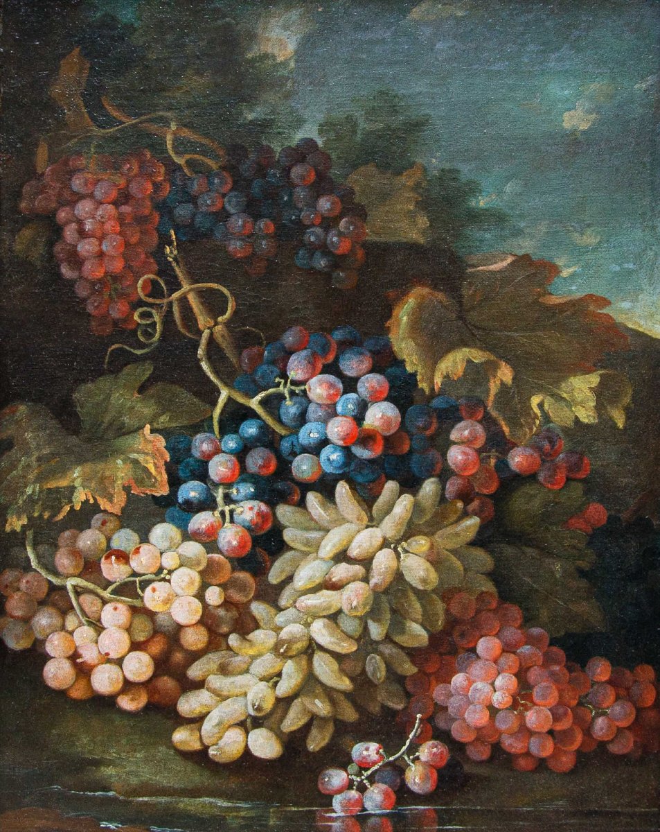 Maximilian Pfeiler (active Ca. 1683–1721), Still Life With White And Black Grapes-photo-2