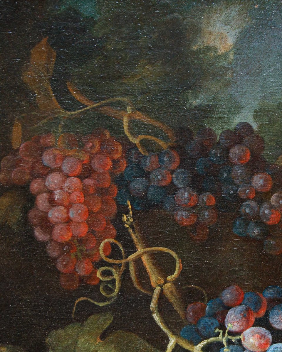 Maximilian Pfeiler (active Ca. 1683–1721), Still Life With White And Black Grapes-photo-1
