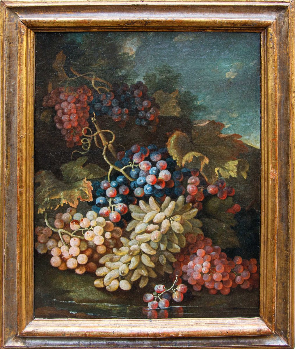 Maximilian Pfeiler (active Ca. 1683–1721), Still Life With White And Black Grapes