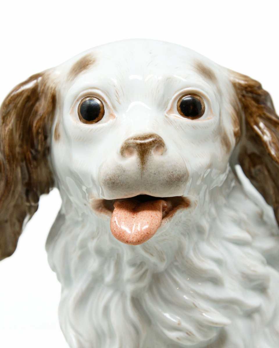 Porcelaine de Meissen, seconde moitié du XVIIIe siècle, Chiot de Bolognaise sur un coussin-photo-4