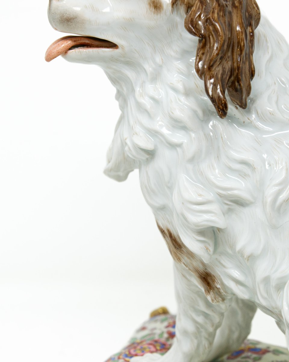Porcelaine de Meissen, seconde moitié du XVIIIe siècle, Chiot de Bolognaise sur un coussin-photo-3