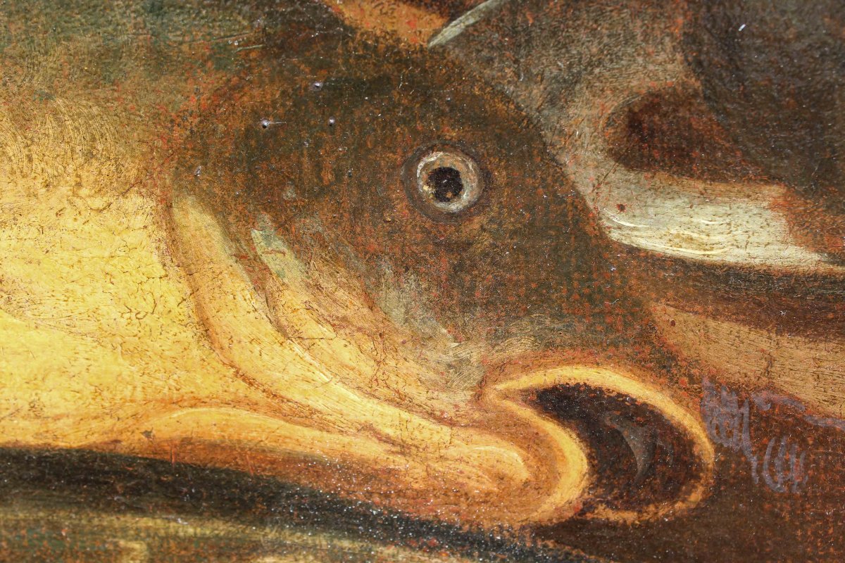 Nicola Levoli (Rimini, 1728 - 1801), attr., Nature morte avec poissons et crustacés-photo-3