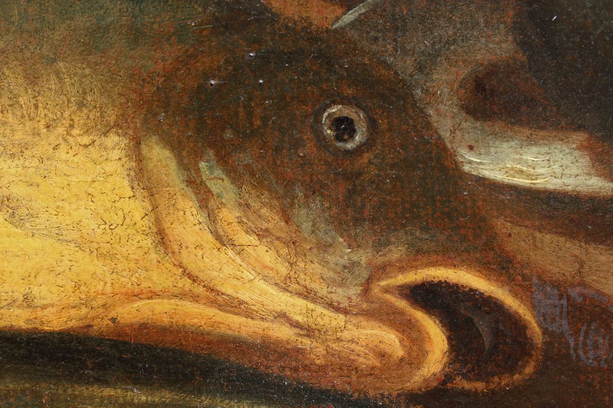 Nicola Levoli (Rimini, 1728 - 1801), attr., Nature morte avec poissons et crustacés-photo-4