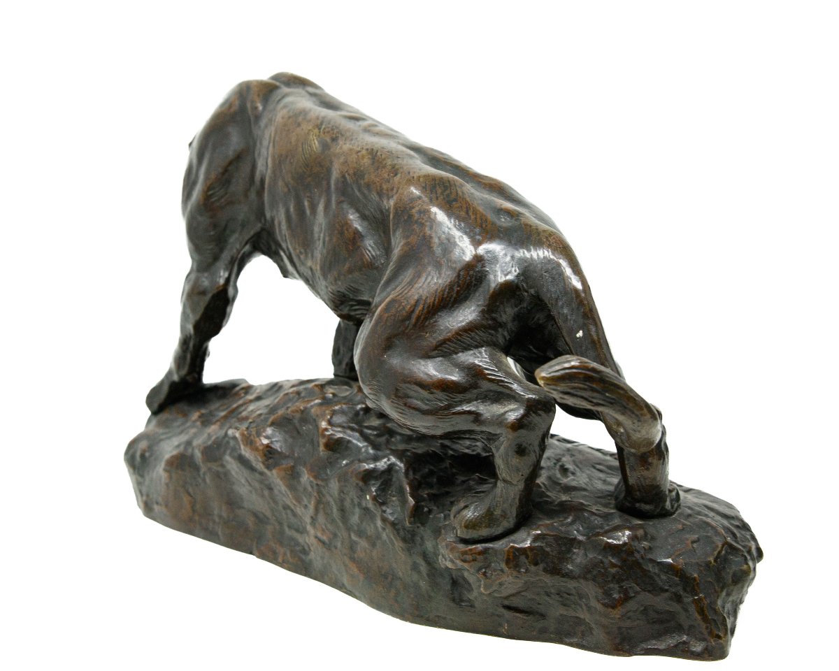 Thomas François Cartier (marseille, 1879 – Saint-vallier, 1936), Lion And Panther-photo-5