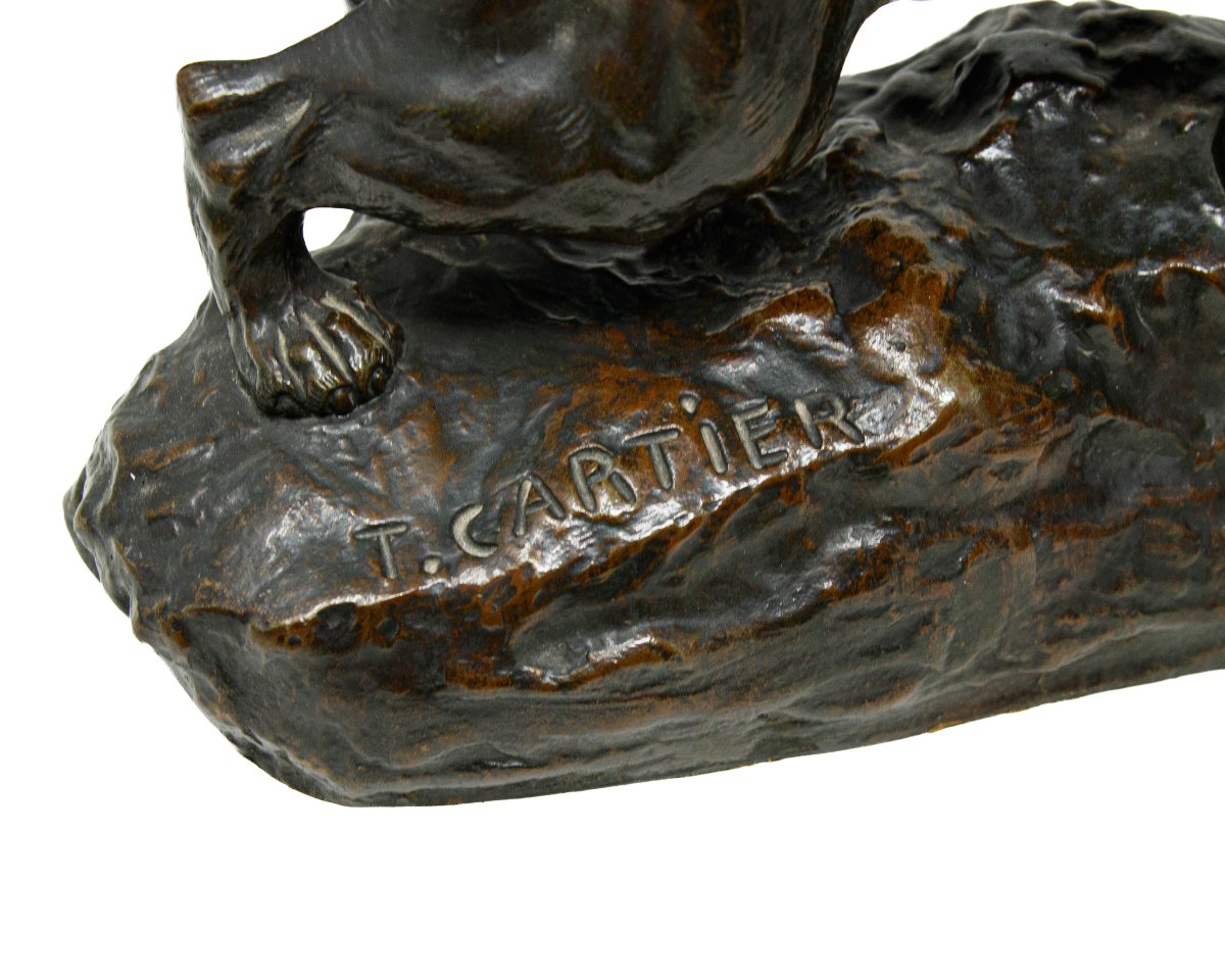 Thomas François Cartier (marseille, 1879 – Saint-vallier, 1936), Lion And Panther-photo-8