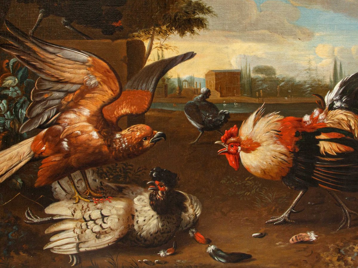 Disciple de Melchior de Hondecoeter (1636 -1695), XVIIIe siècle, Un coq défend une poule -photo-2