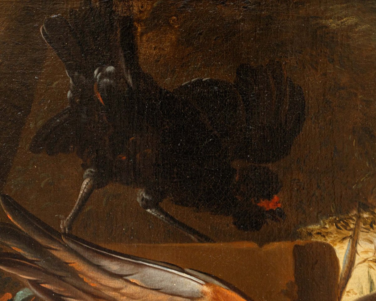 Disciple de Melchior de Hondecoeter (1636 -1695), XVIIIe siècle, Un coq défend une poule -photo-3