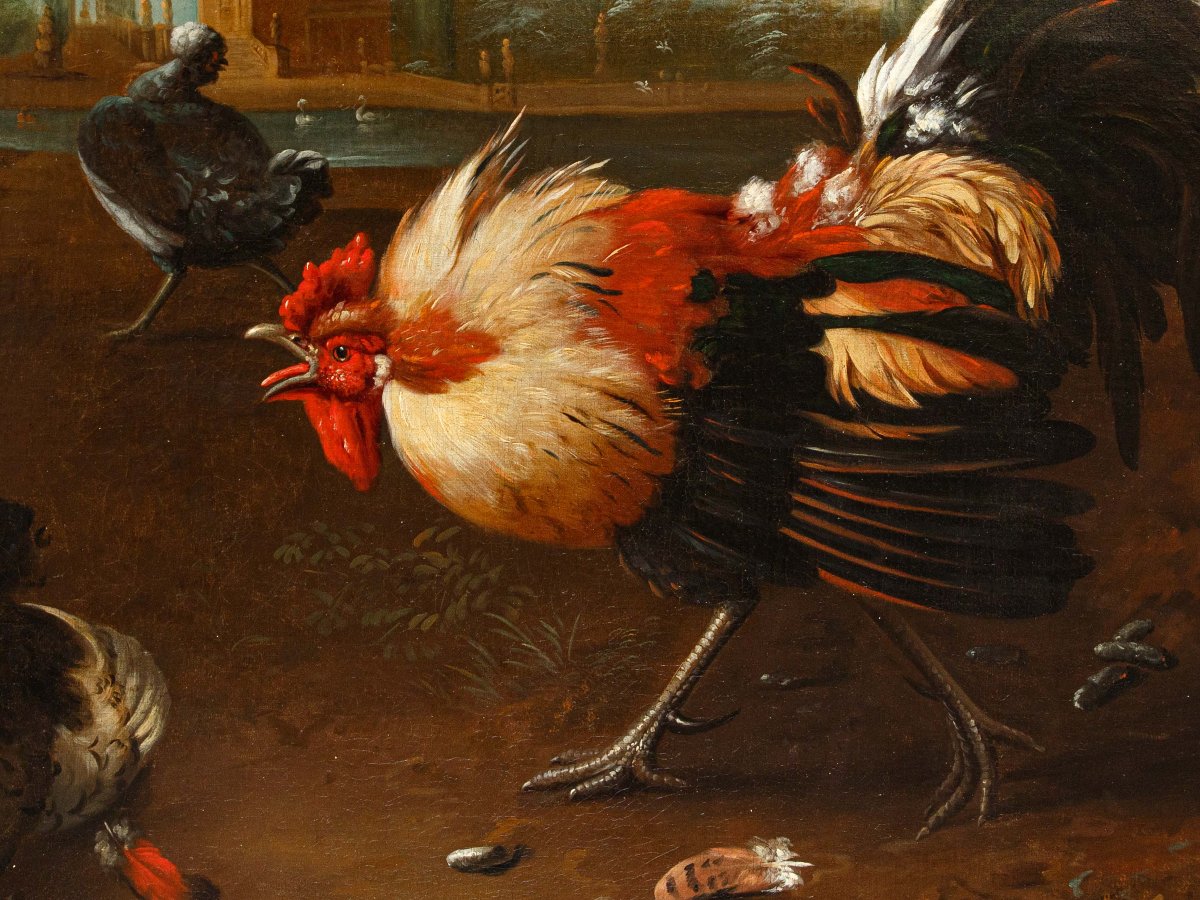 Disciple de Melchior de Hondecoeter (1636 -1695), XVIIIe siècle, Un coq défend une poule -photo-4
