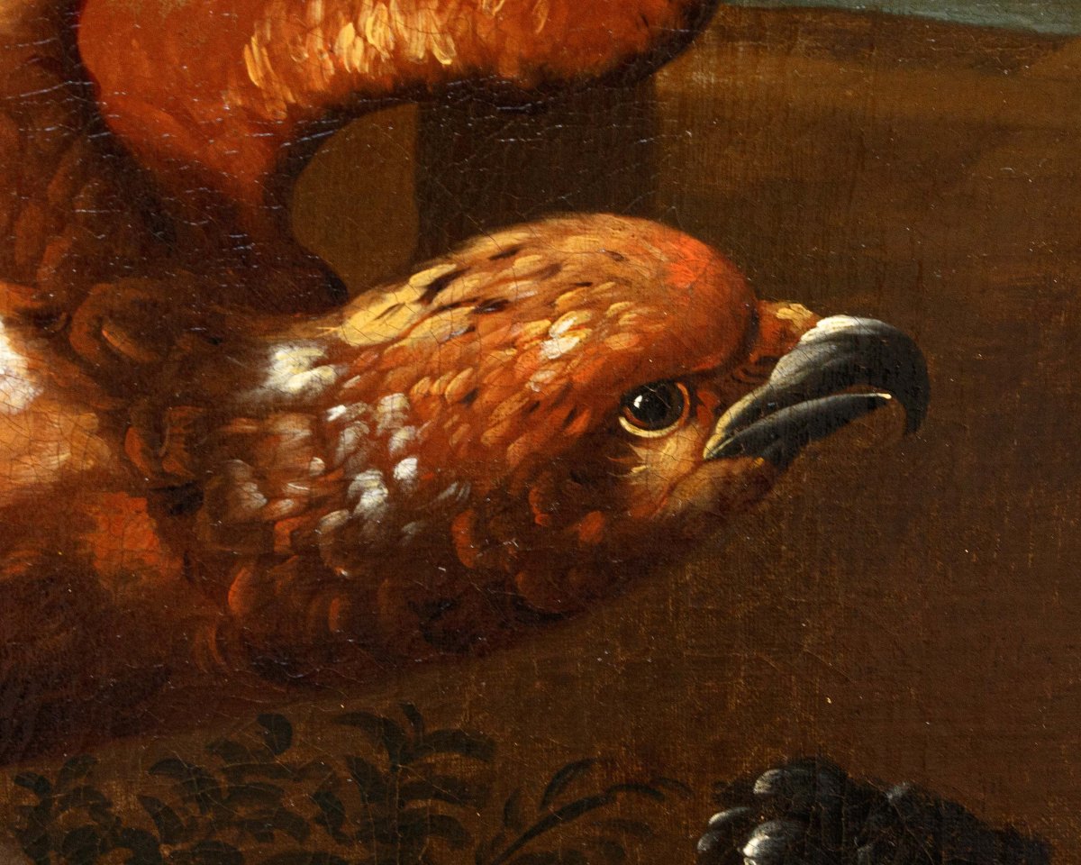 Disciple de Melchior de Hondecoeter (1636 -1695), XVIIIe siècle, Un coq défend une poule -photo-5