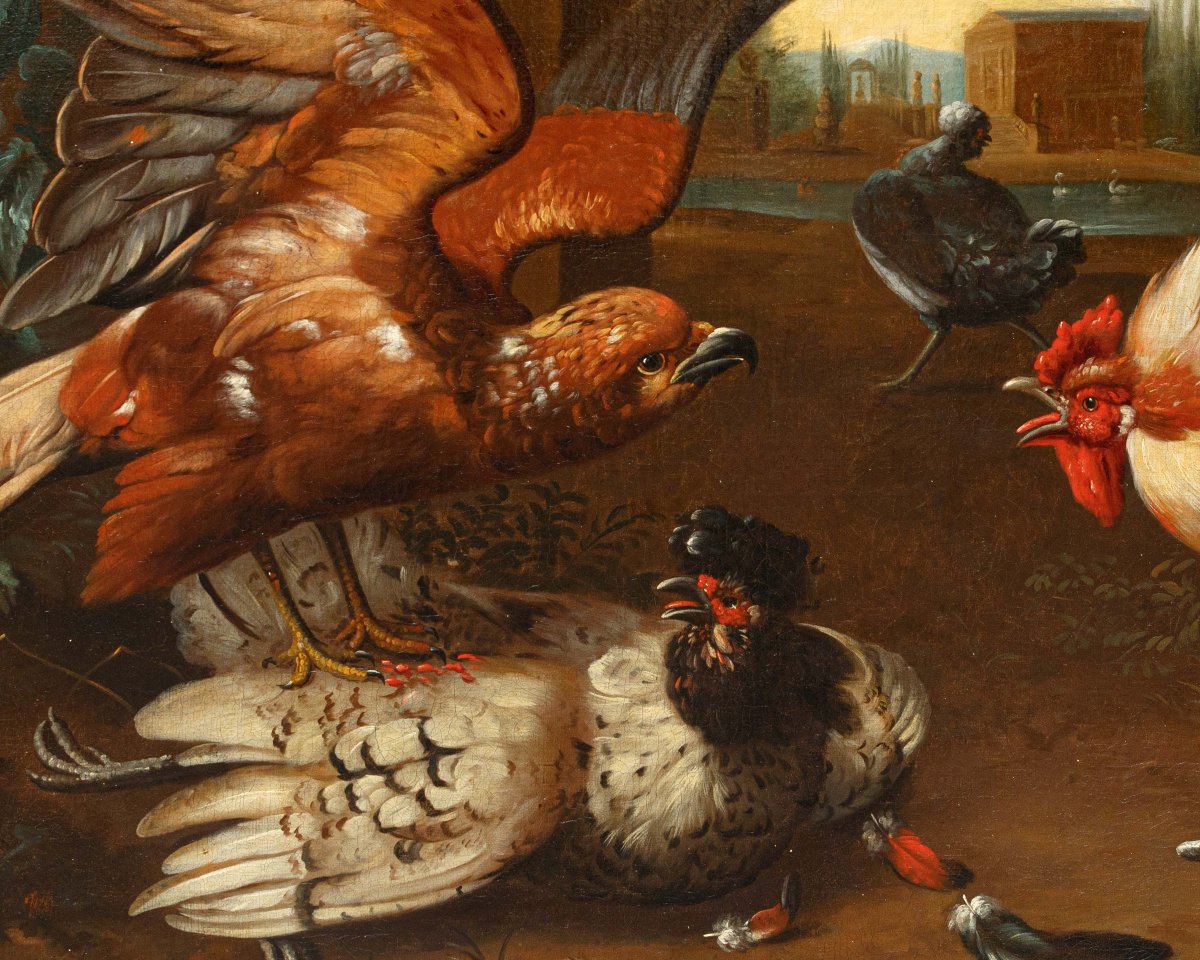 Disciple de Melchior de Hondecoeter (1636 -1695), XVIIIe siècle, Un coq défend une poule -photo-8