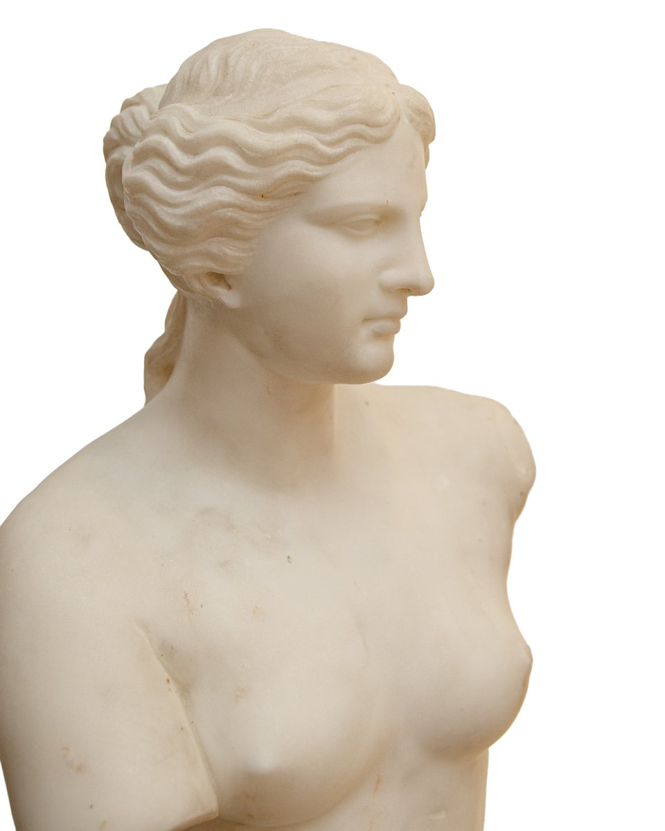 XIXe siècle, Vénus de Milo-photo-2