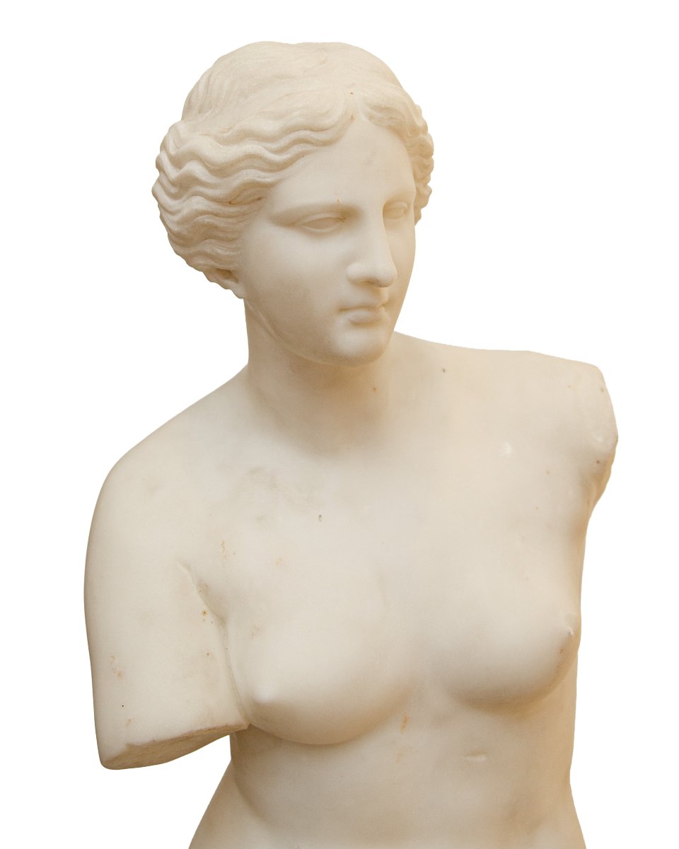 XIXe siècle, Vénus de Milo-photo-3