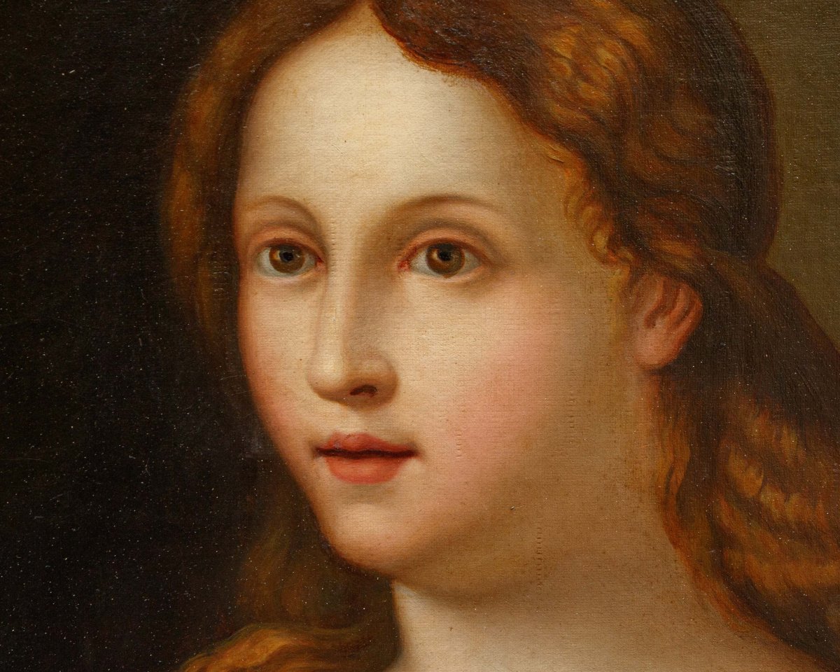 19th Century, By Palma Il Vecchio, *la Bella*-photo-7
