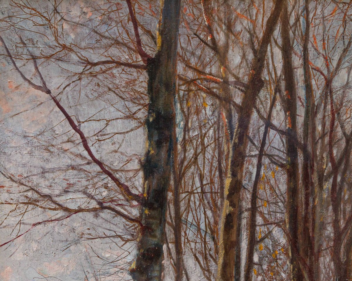 Licinio Barzanti (Forlì, 29 octobre 1857 - Côme, 4 décembre 1944), Paysage enneigé-photo-4