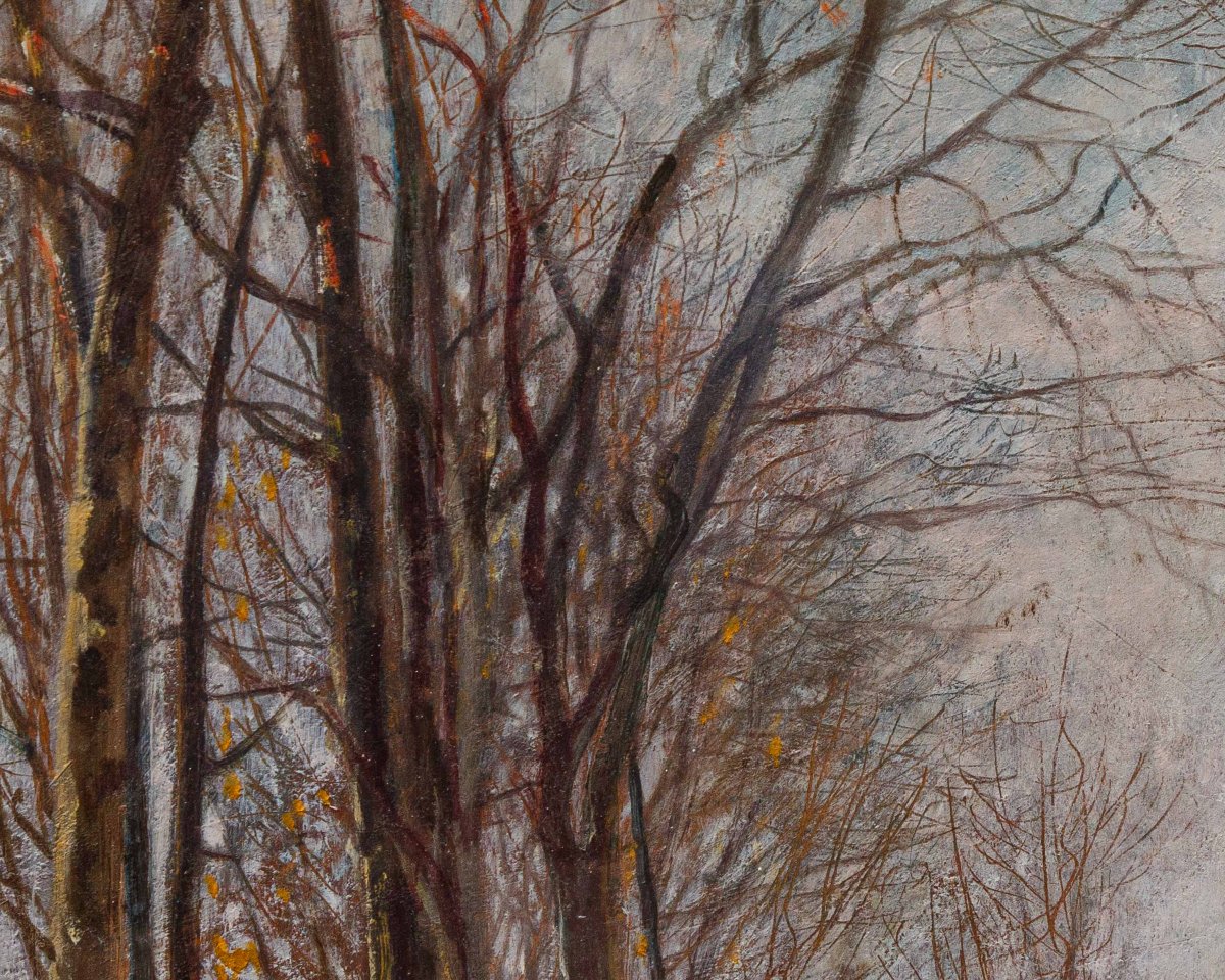 Licinio Barzanti (Forlì, 29 octobre 1857 - Côme, 4 décembre 1944), Paysage enneigé-photo-5