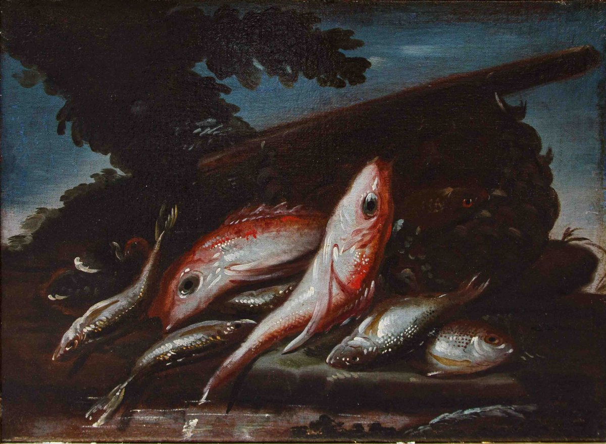 Elena Recco (Fin du XVIIe et le début du XVIIIe siècle), Nature morte des poissons-photo-2