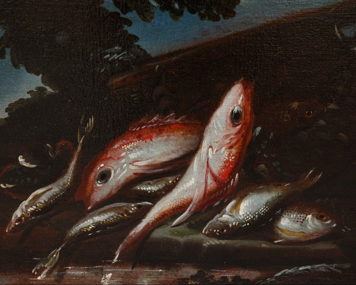 Elena Recco (Fin du XVIIe et le début du XVIIIe siècle), Nature morte des poissons-photo-4