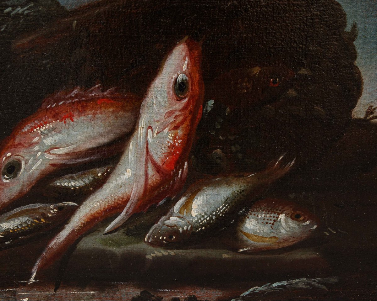 Elena Recco (Fin du XVIIe et le début du XVIIIe siècle), Nature morte des poissons-photo-1