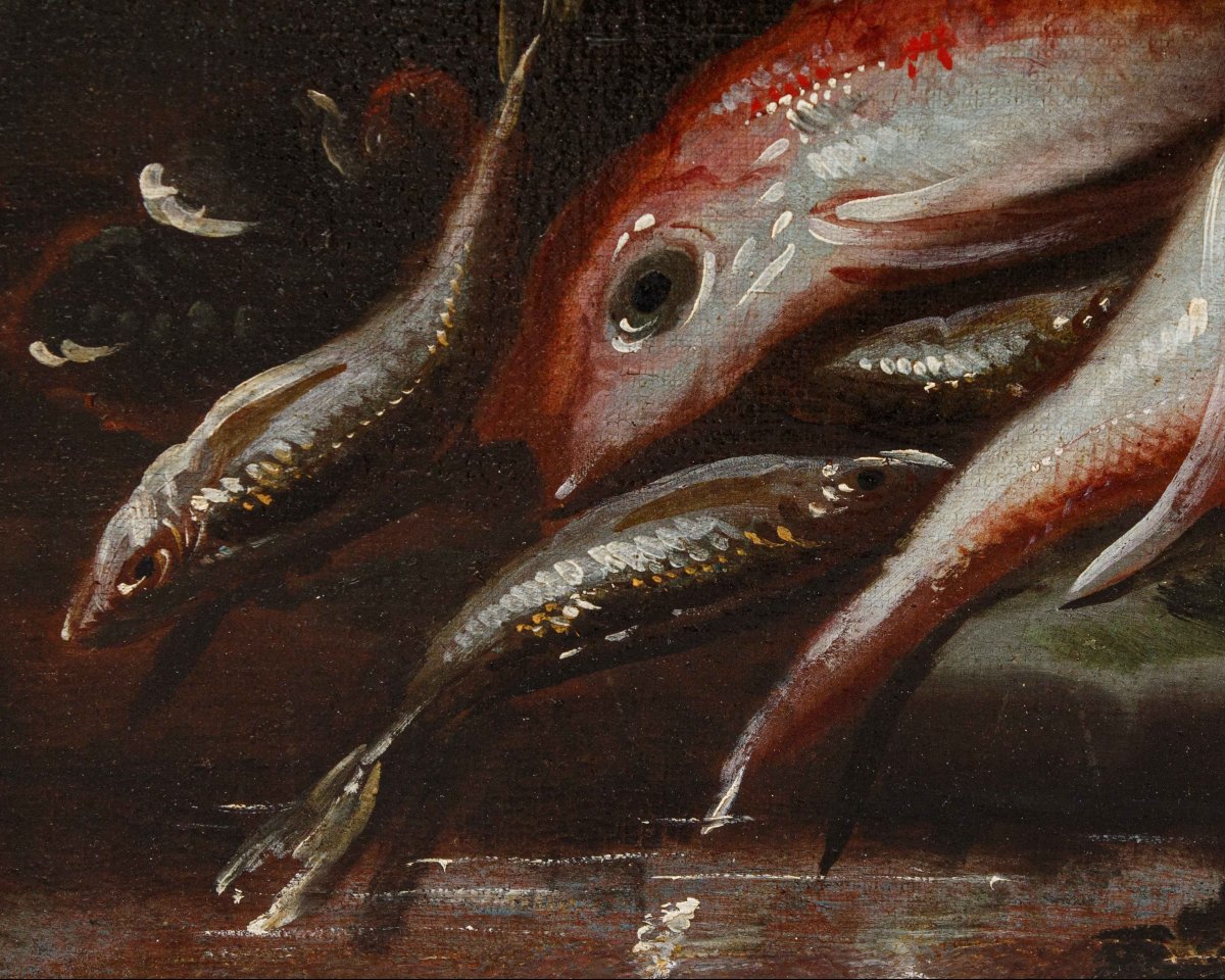 Elena Recco (Fin du XVIIe et le début du XVIIIe siècle), Nature morte des poissons-photo-2