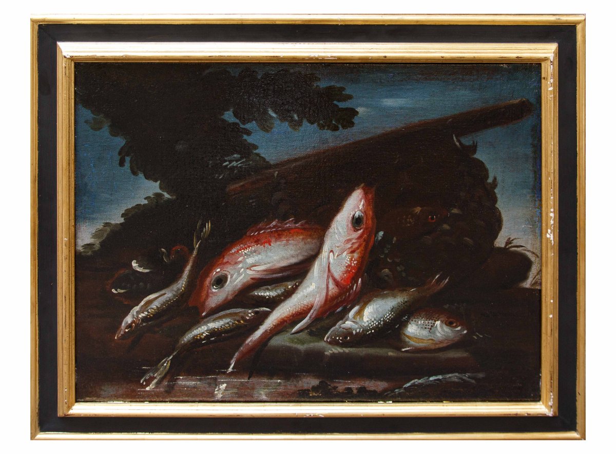 Elena Recco (Fin du XVIIe et le début du XVIIIe siècle), Nature morte des poissons