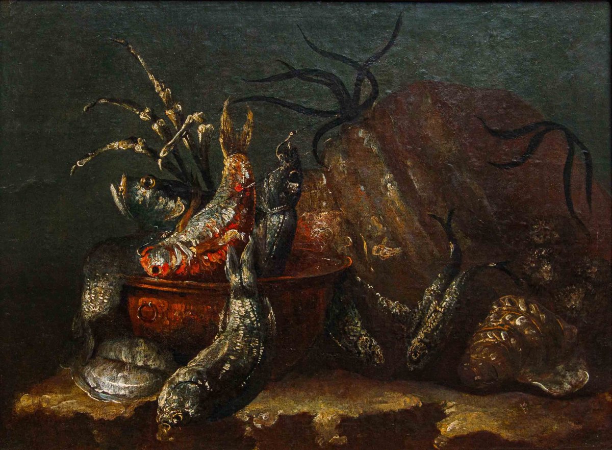 Neapolitan School, 17th Century, Still Lifes With Fish-photo-3