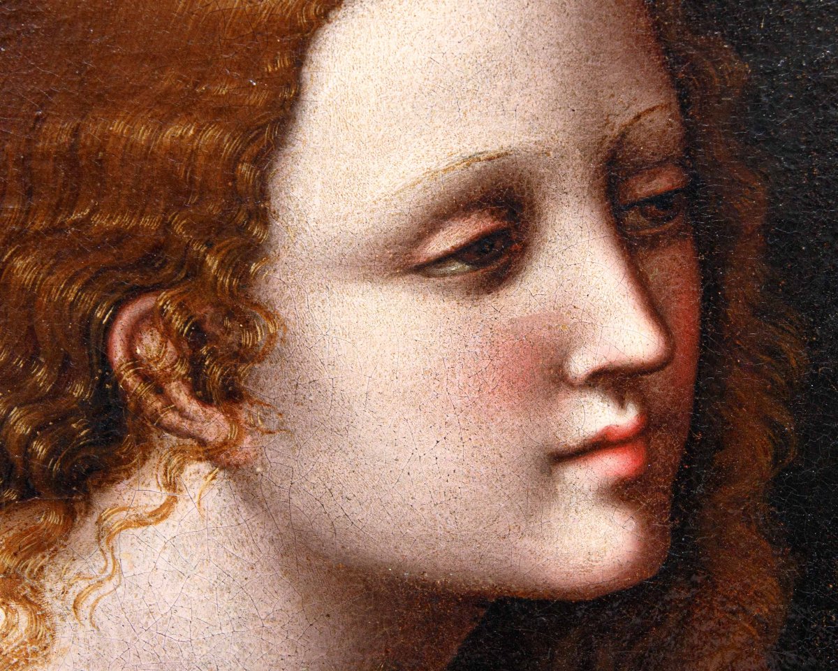 Pseudo-giampietrino B (milan, 3rd And 5th/6th Decades Of The 16th Century), The Penitent Magdalene-photo-4