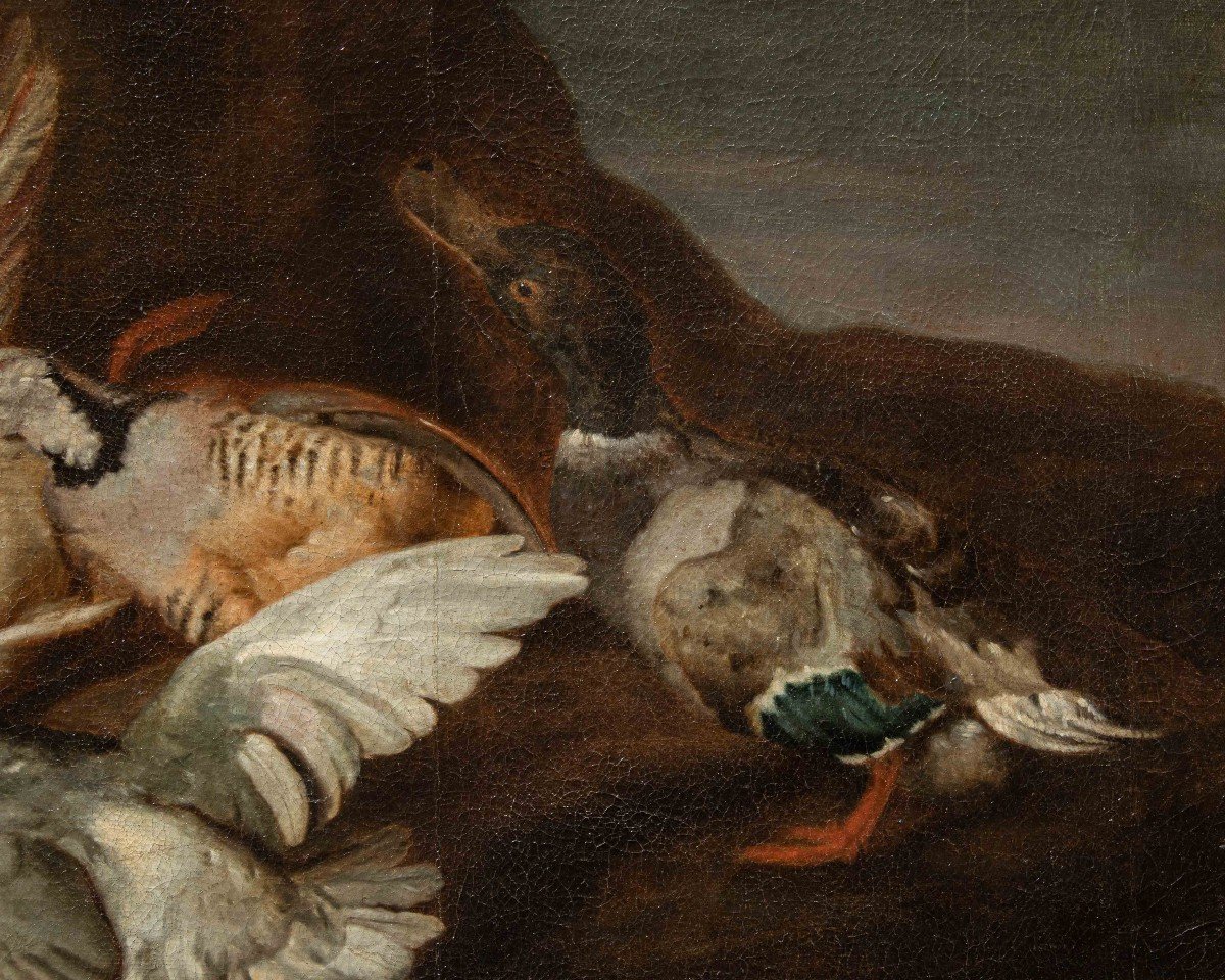 Attr. Jacobus Or Iacomo Victor (circa 1640 - 1705), Still Life With Birds-photo-4