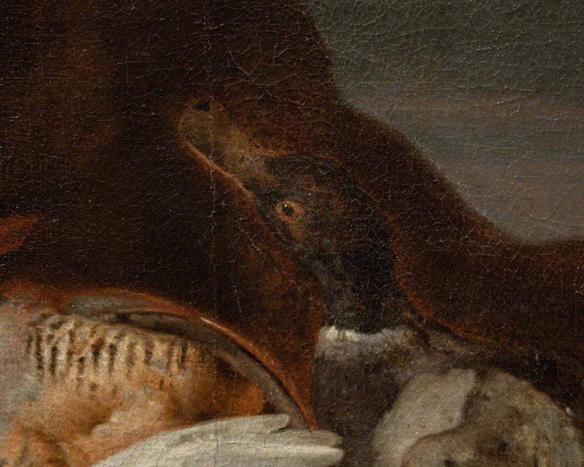 Attr. Jacobus Or Iacomo Victor (circa 1640 - 1705), Still Life With Birds-photo-4