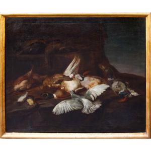 Attr. Jacobus ou Iacomo Victor (Amsterdam 1640 ça. - 1705), Nature morte avec des oiseaux