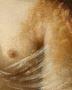 1752957-alb-69f613f07c00f.jpg