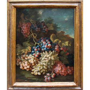Maximilian Pfeiler (actif de 1683 à 1721 environ), Nature morte avec des raisins blancs et noir