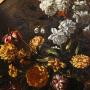 1838564-alb-6ad0845350ba6.jpg