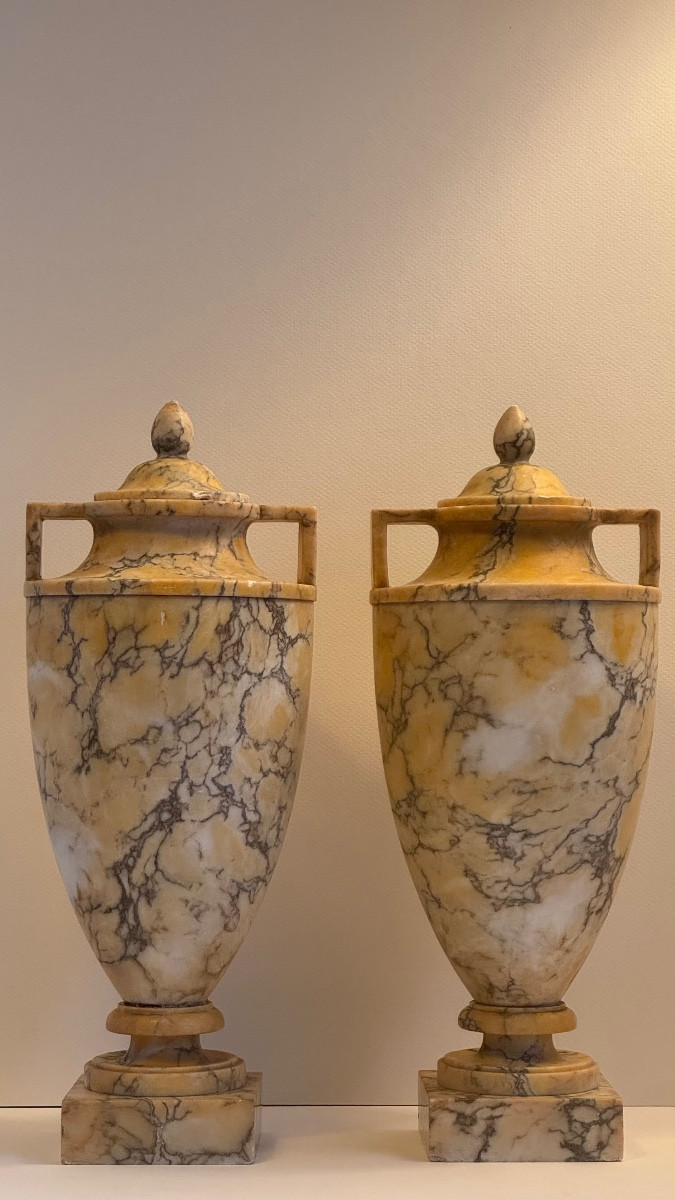 Pair Of Covered Yellow Marble Urns - Vase - 19th Century - Neoclassical-photo-2