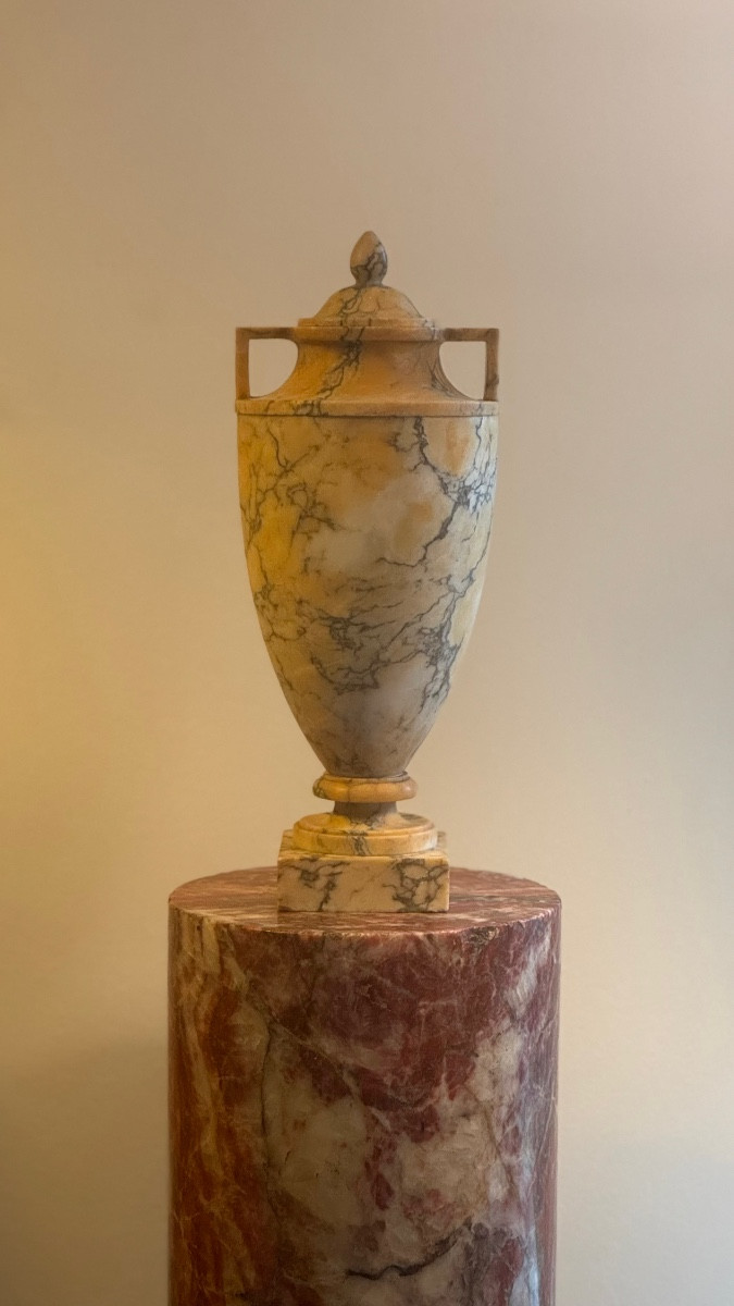 Pair Of Covered Yellow Marble Urns - Vase - 19th Century - Neoclassical-photo-3