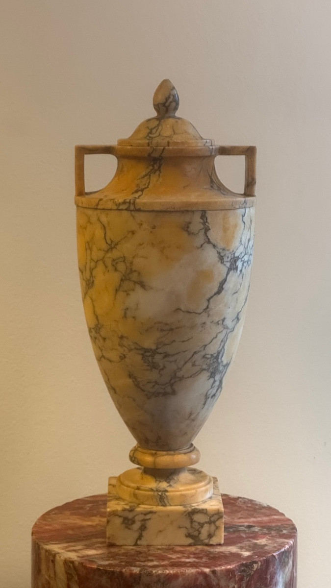 Pair Of Covered Yellow Marble Urns - Vase - 19th Century - Neoclassical-photo-1