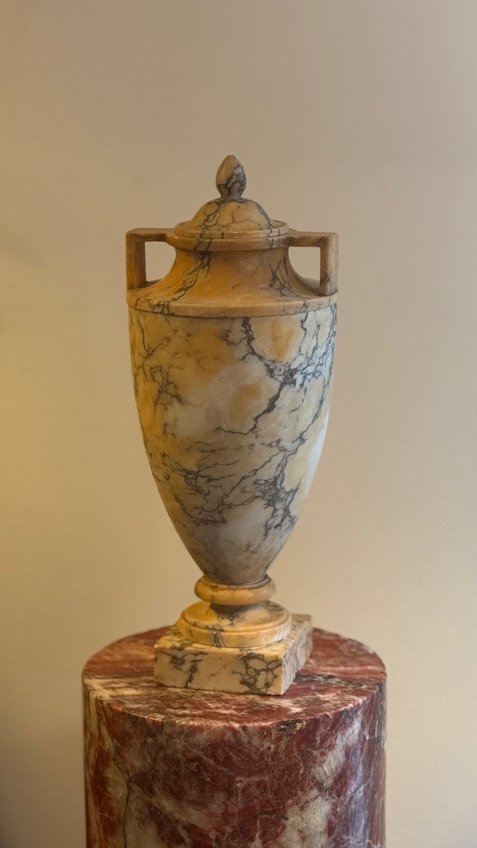 Pair Of Covered Yellow Marble Urns - Vase - 19th Century - Neoclassical-photo-3