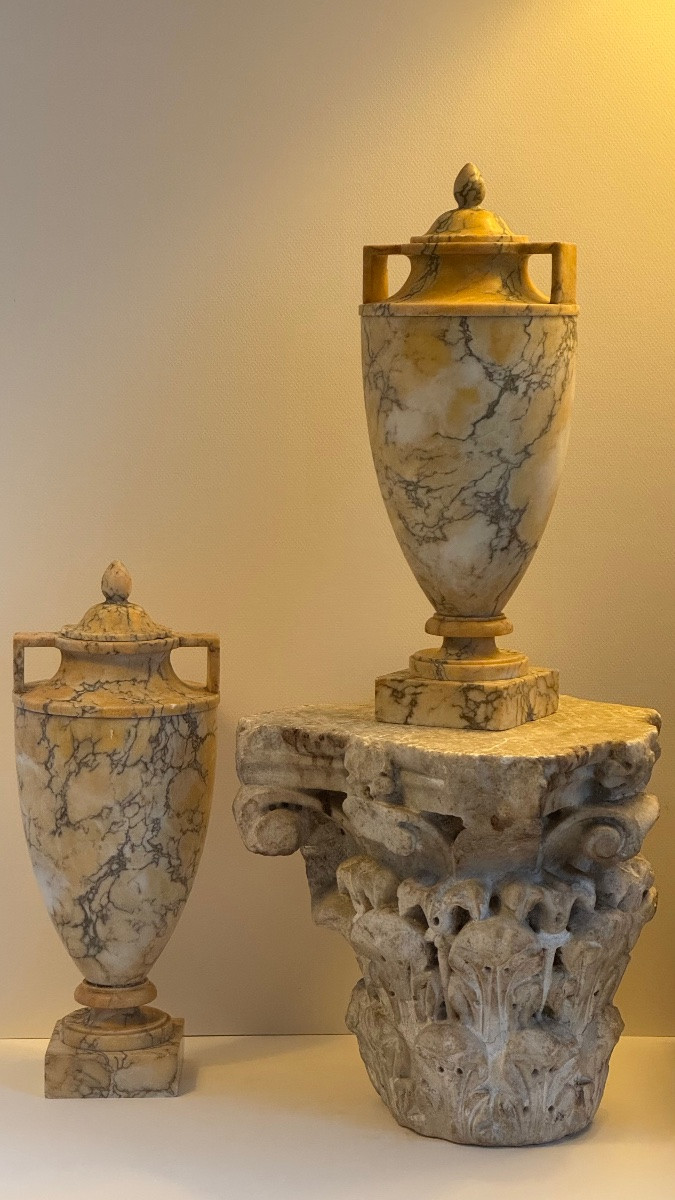 Pair Of Covered Yellow Marble Urns - Vase - 19th Century - Neoclassical-photo-6